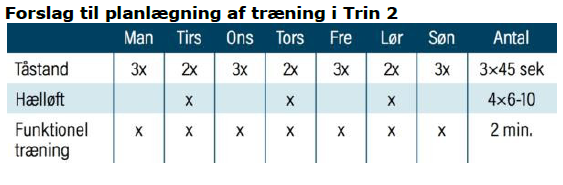 Smerter i akillesene - Forslag til planlægning af træning i Trin 2.PNG