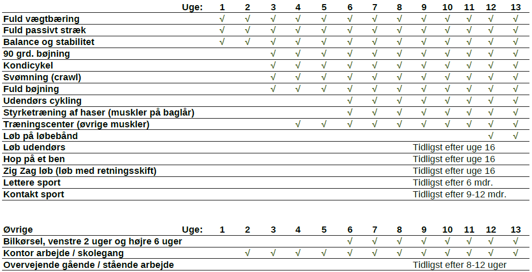 Tidshorisont korsbånd1.PNG