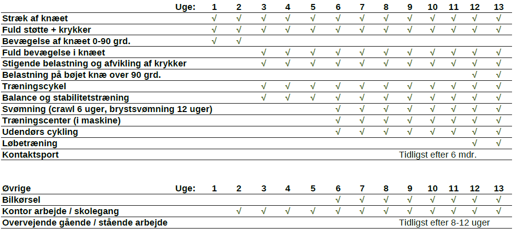 Træningsprogram dage menisksuturering Regionshospitalet Horsens