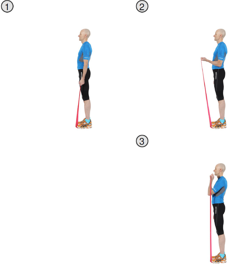 stå på elastik, bøj og stræk arm (biceps).PNG