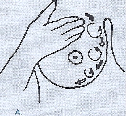 brystpumpe 1.jpg