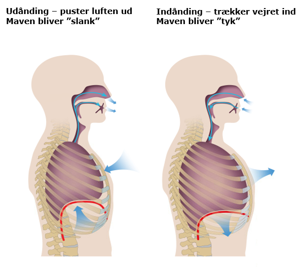 ind- og udånding_ny.png