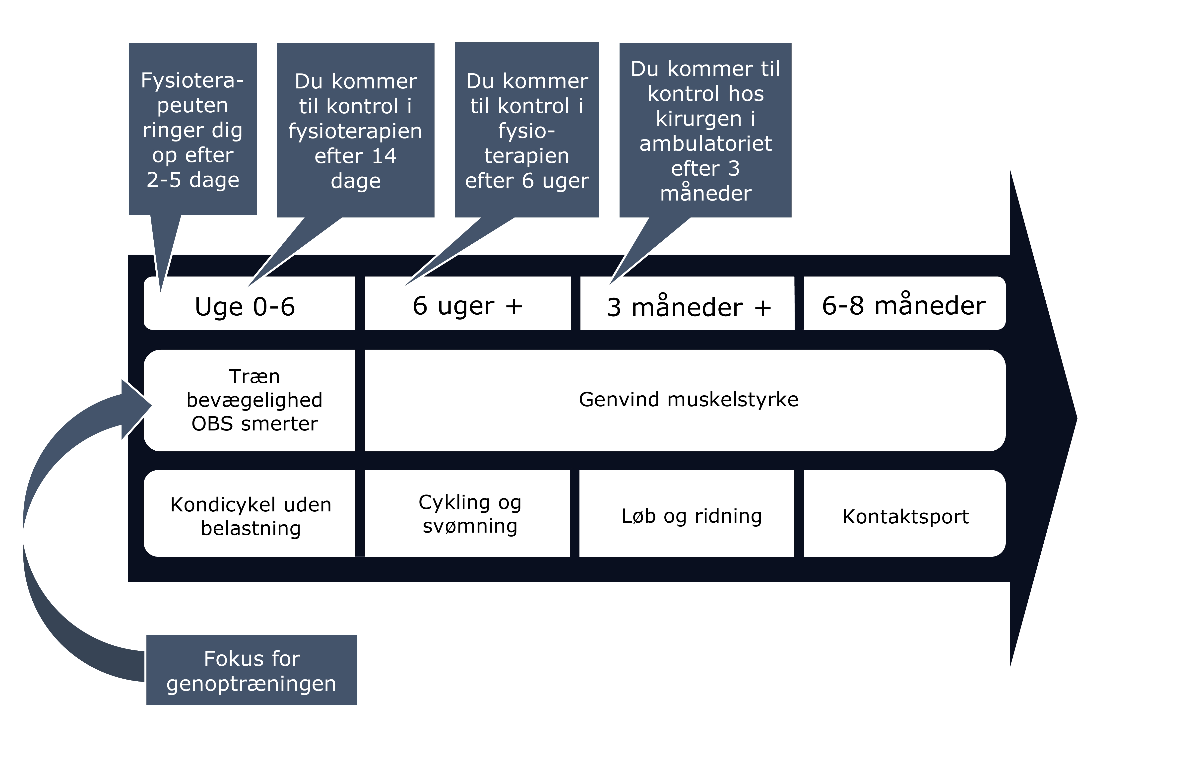 Hofteskopi 3 - tidslineal.jpg