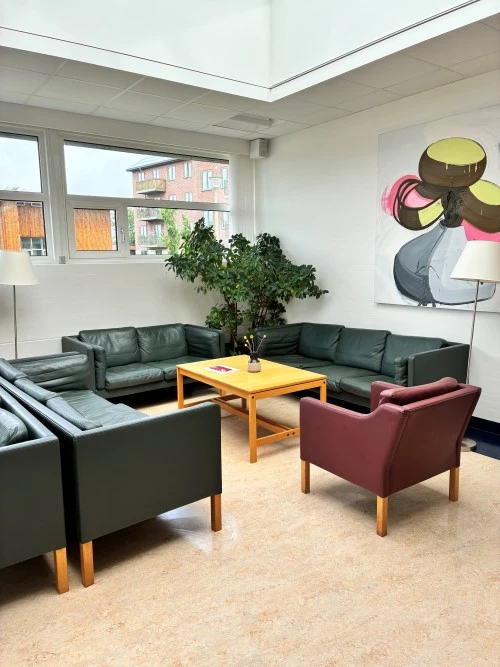 Opholdsstue med to sofaer, et bord og en stol